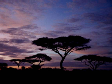 Let's Talk About Lufe WOR Radio