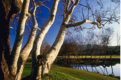 Let's Talk About Life on WOR Radio